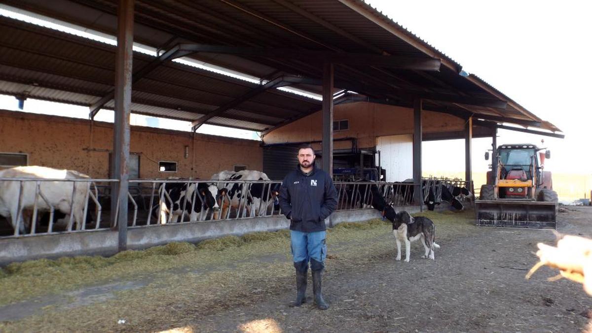 José Alberto Martín pone siempre música a las vacas en su granja