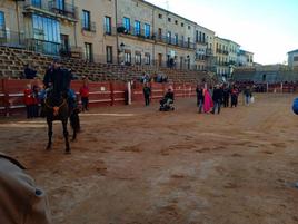 Prueba del caballo en la arena de la Plaza Mayor de Ciudad Rodrigo.