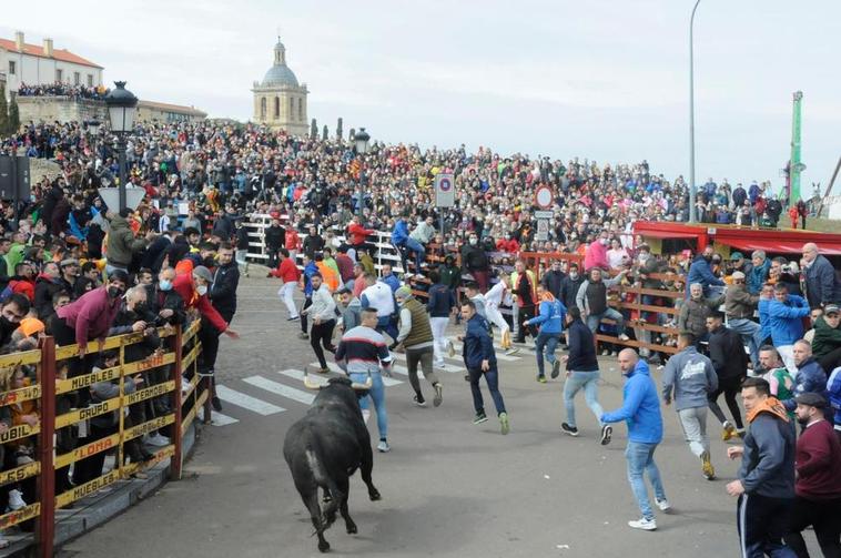 El Carnaval del Toro de Ciudad Rodrigo alcanzará un pico de 45.000 personas cada día