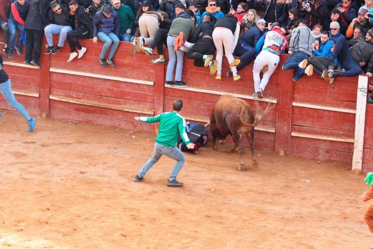 Un emocionante encierro con caballos deja varios heridos por cornadas en el Carnaval del Toro