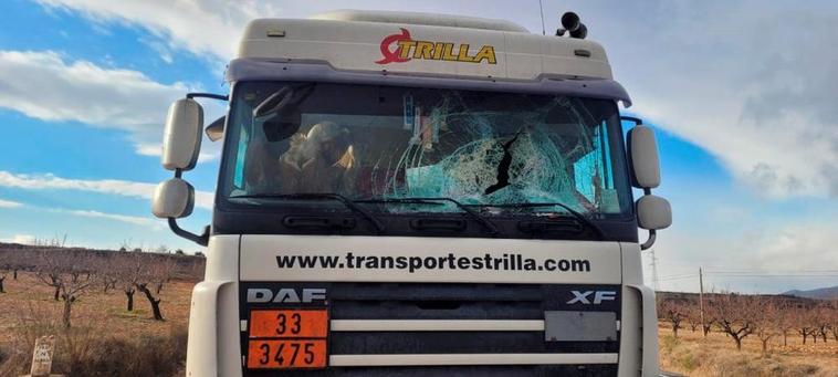 Un buitre se mete en la cabina de un camionero salmantino con el vehículo en marcha