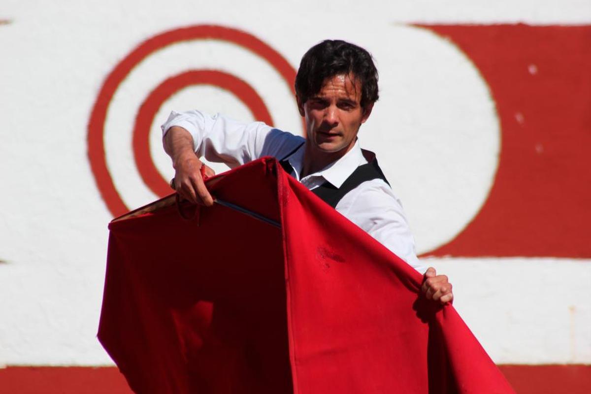 Juan del Álamo, durante un tentadero en la finca de Linejo, donde pastan los toros de Montalvo