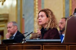 El Congreso entrega a la jueza el ordenador de sobremesa y los efectos personales de ‘Tito Berni’