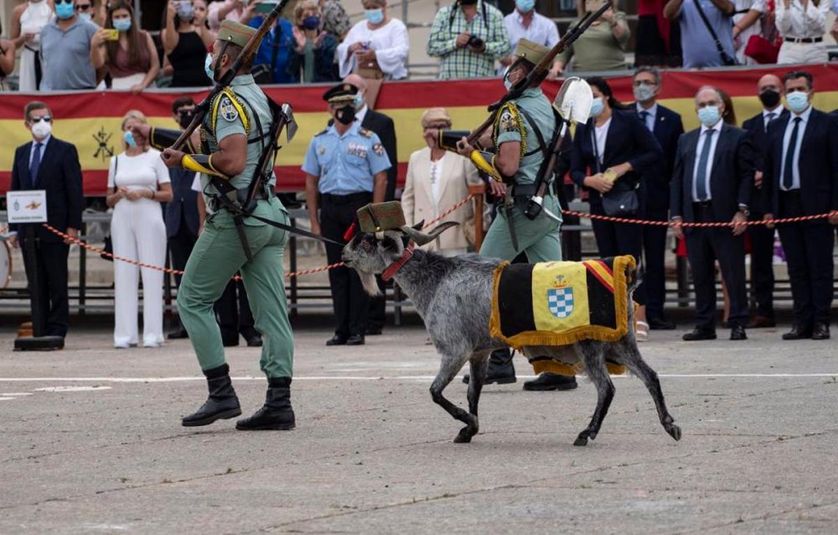 Dos legionarios pasean con la cabra de la legión durante un acto.