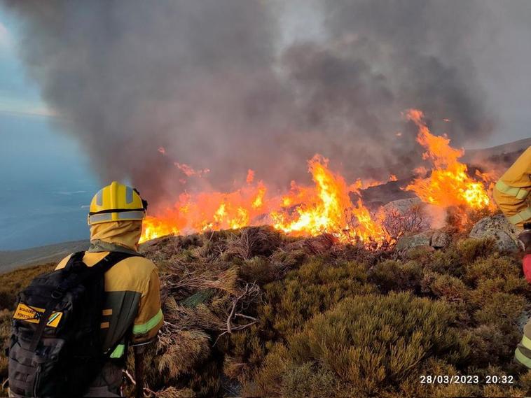 Estabilizado el incendio de Candelario que no ha afectado al arbolado