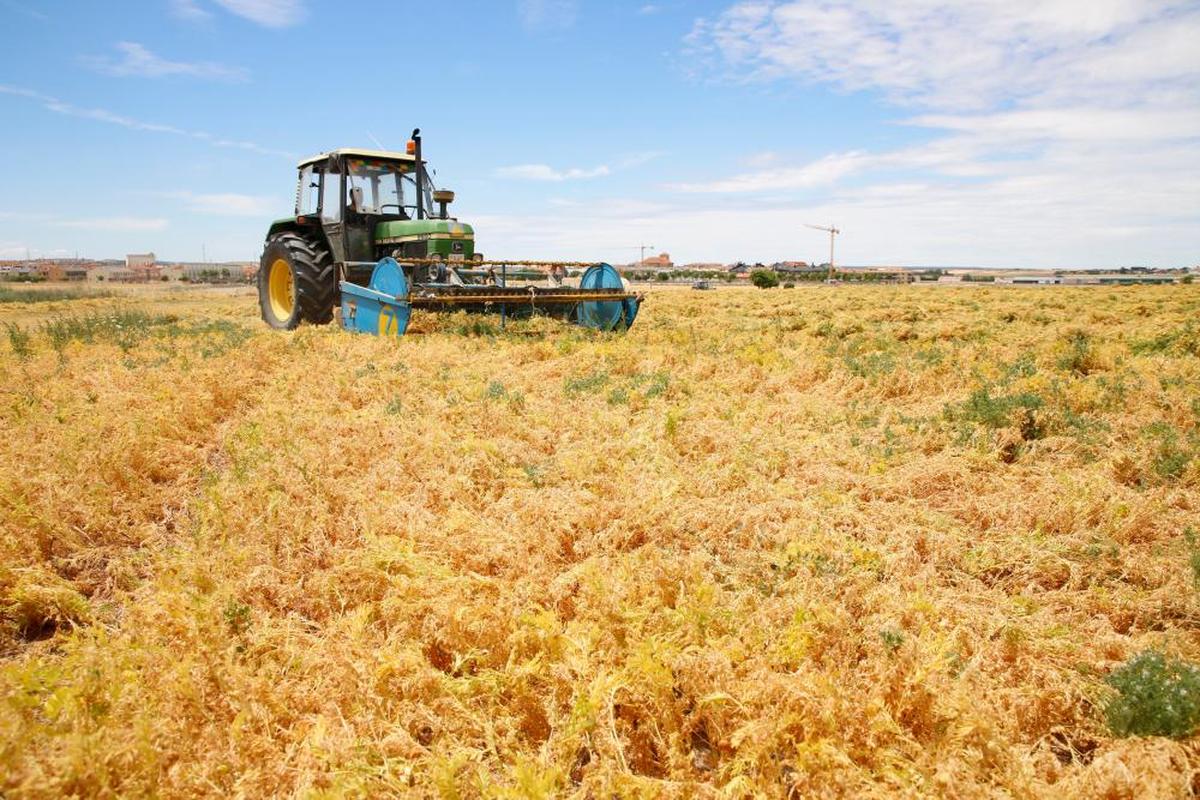 Los agricultores de Castilla y León recibirán 69 millones de euros