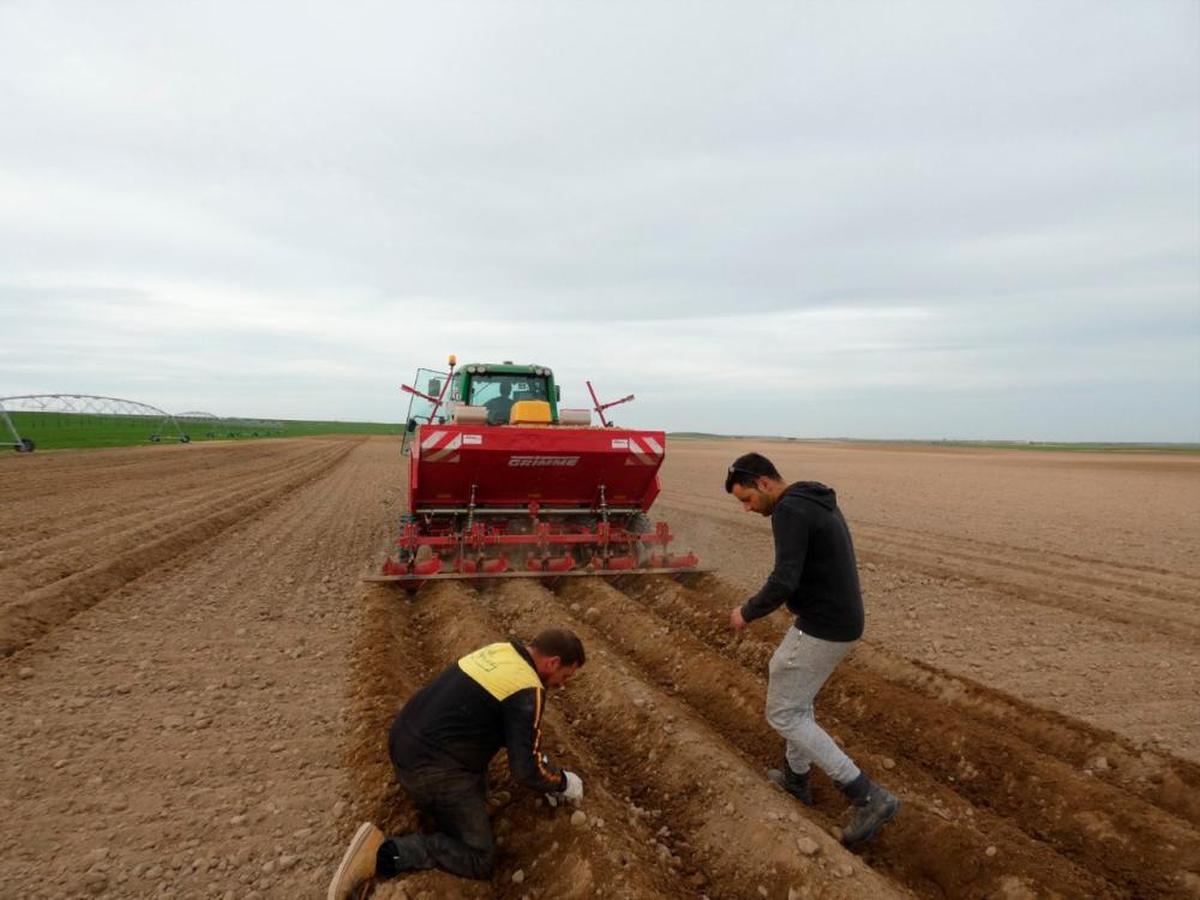 Siembra de patatas en la explotación que tiene el agricultor de Villoruela Óscar Manjón, en Cantalapiedra