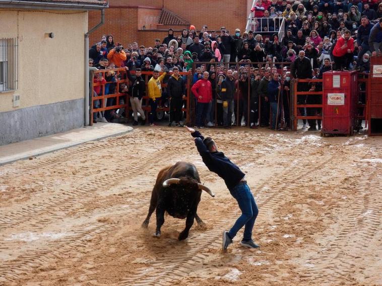 Villoria celebra este fin de semana las Fiestas del Voto con muchos toros