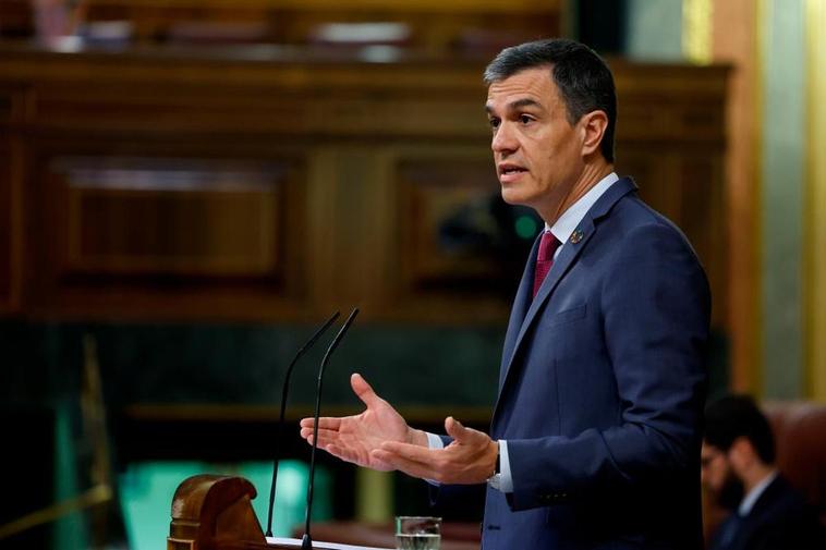 Pedro Sánchez durante su intervención en el Congreso de los Diputados.