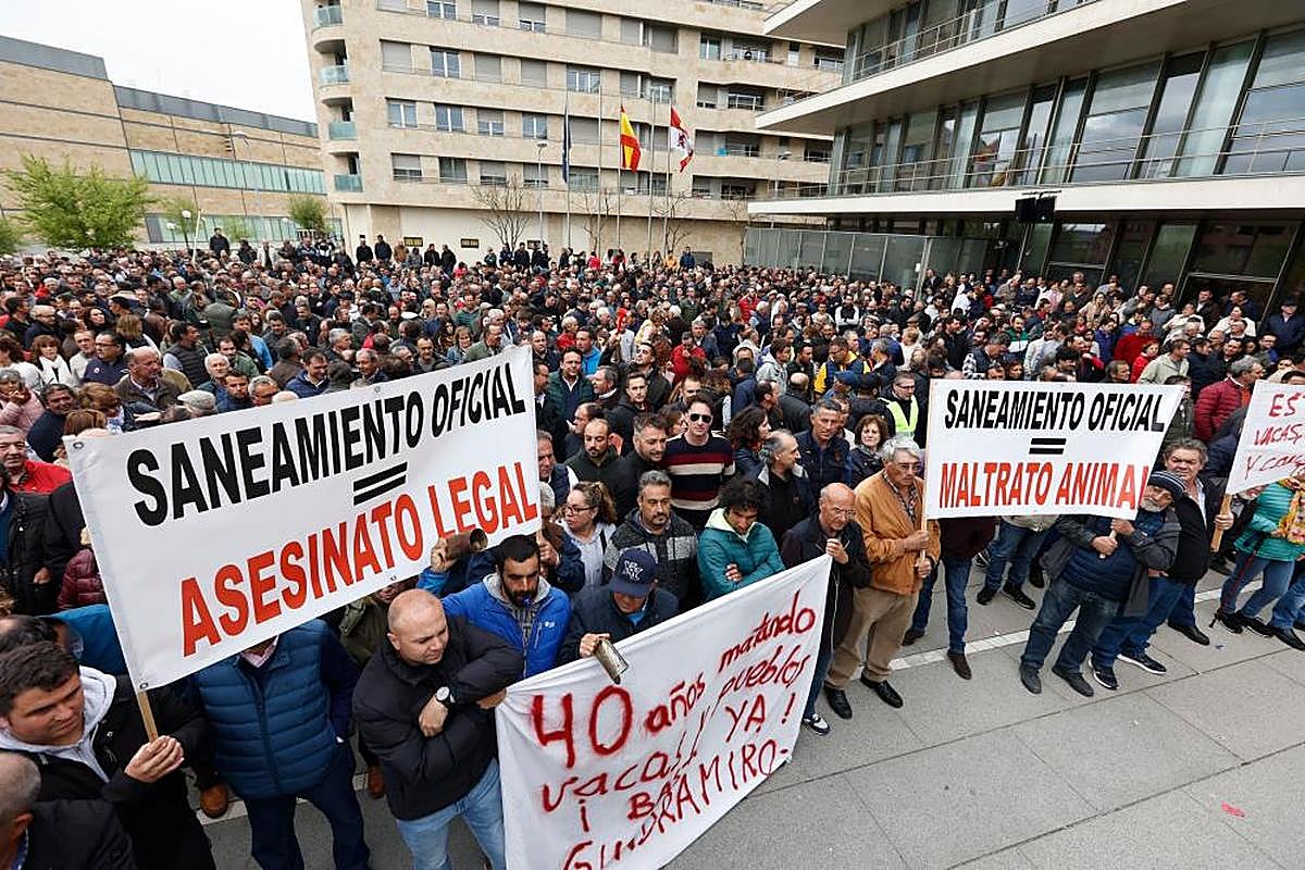 Los ganaderos saldrán de nuevo a la calle