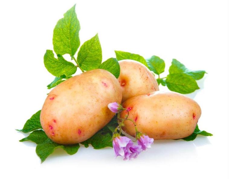 Las patatas que son un símbolo del noreste salmantino