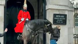 Los caballos de la Guardia Real inglesa atacan a varias turisitas