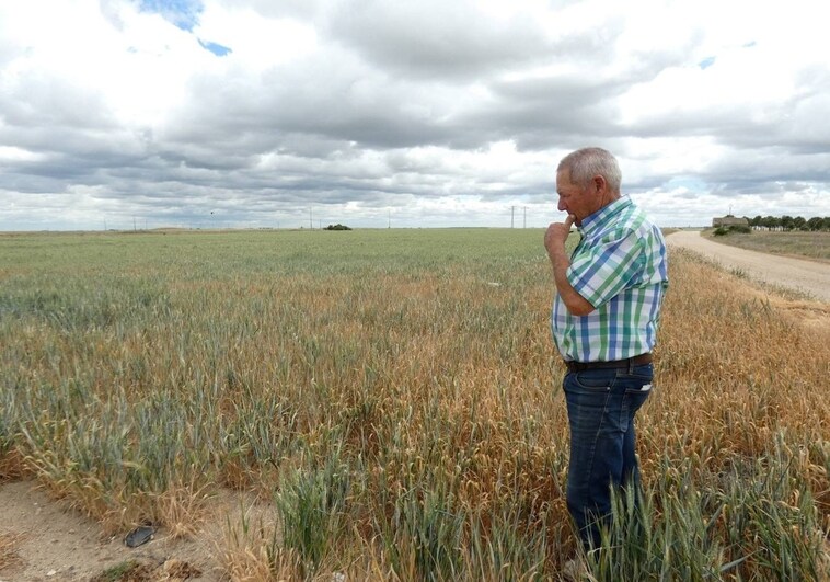 Más de 4.000 hectáreas dan parte de sequía en Salamanca