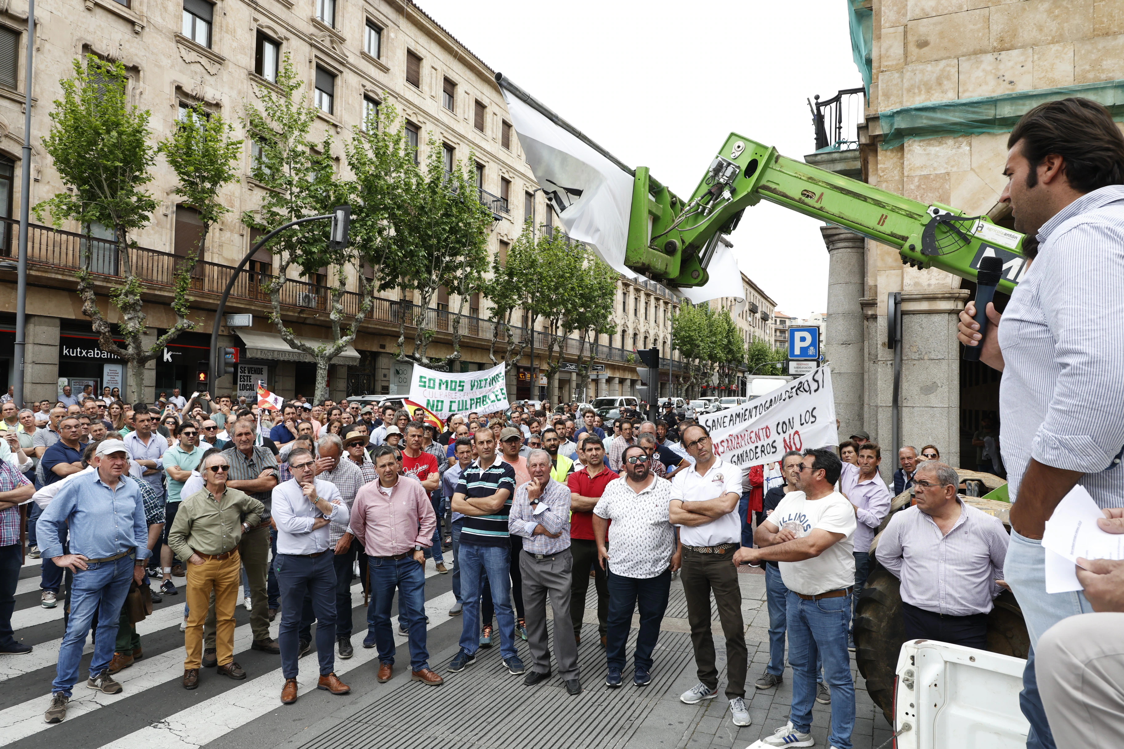 Los ganaderos se manifiestan en Salamanca.