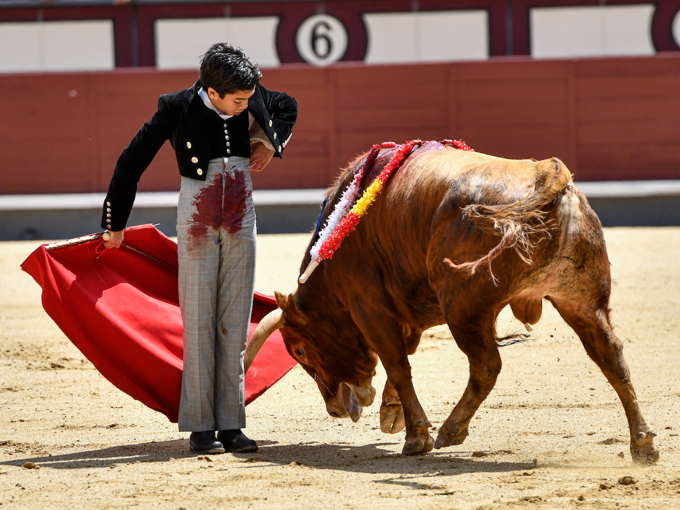 Las mejores imágenes del increíble debut de Marco Pérez en Las Ventas