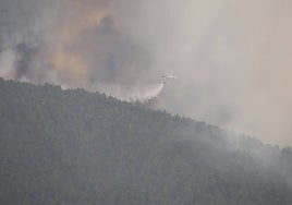 Medios aéreos luchan contra el fuego