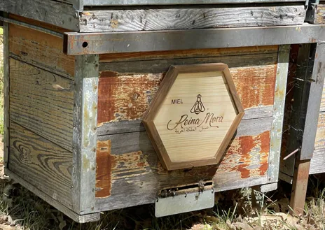 Imagen secundaria 1 - La miel, una panacea natural en peligro