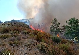 Medios de la Junta de Castilla y León luchan contra el fuego en Descargamaría