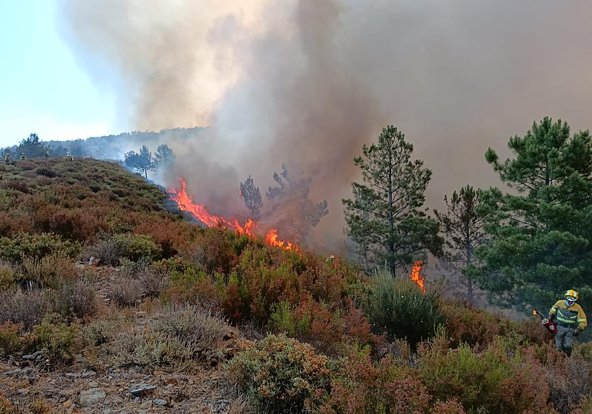 Medios de la Junta de Castilla y León luchan contra el fuego en Descargamaría