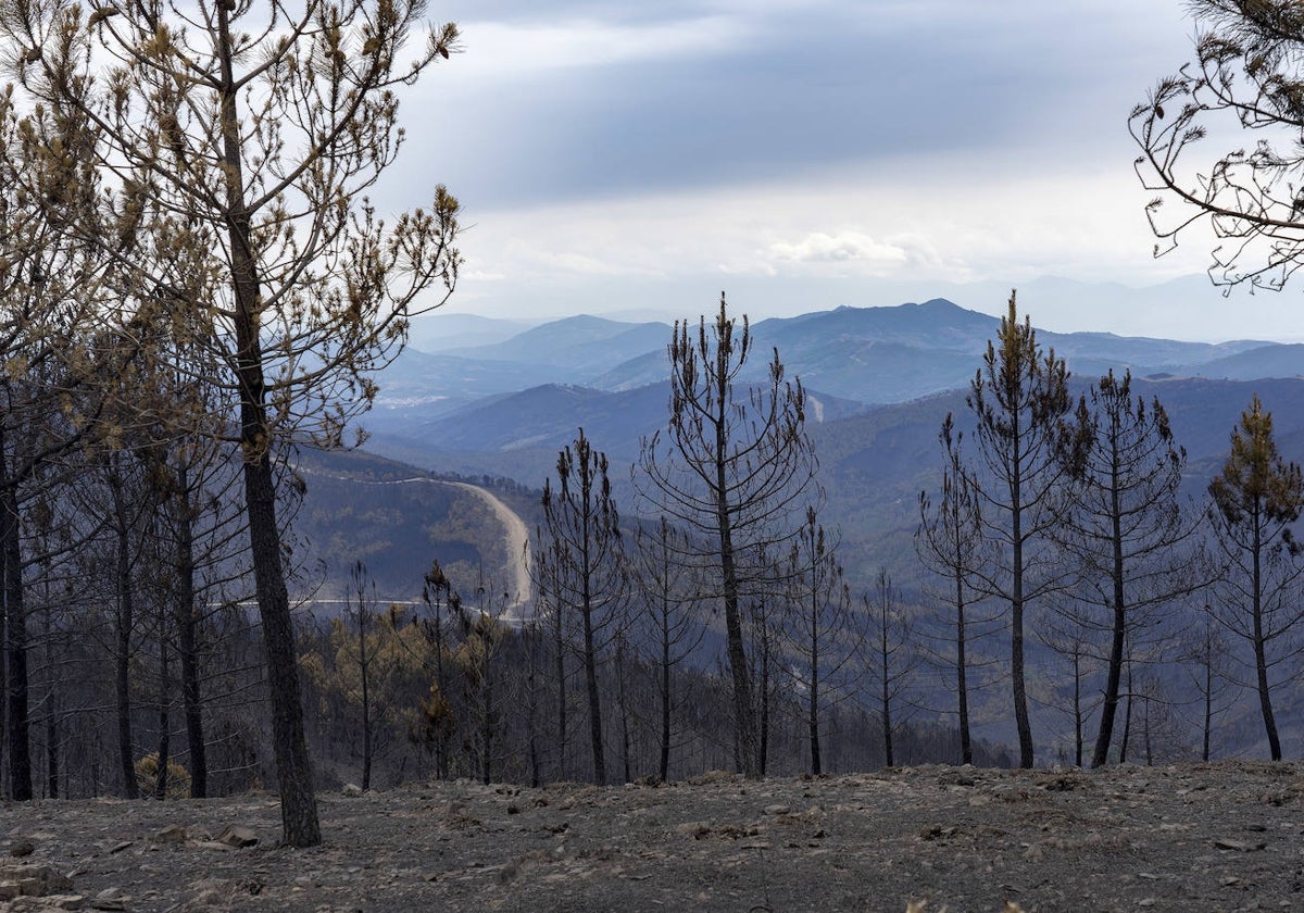 El incendio de Las Hurdes queda como controlado.