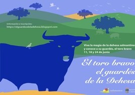 Salamanca promociona el toro bravo y la dehesa en su nueva experiencia turística