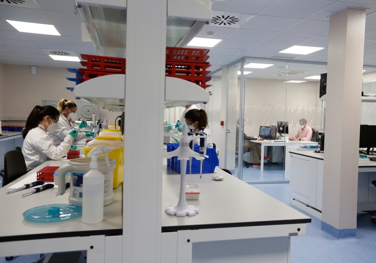 Trabajadores en una empresa biotecnológica de Salamanca.