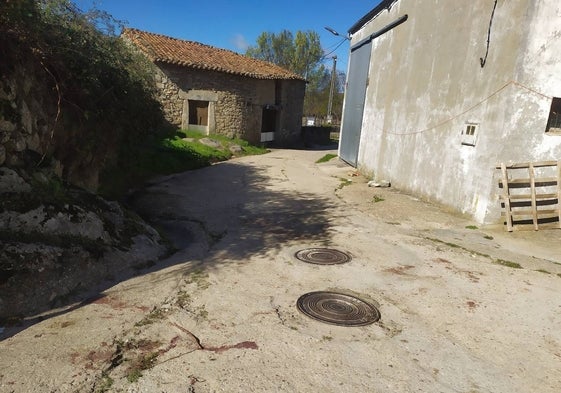 La juez confirma el archivo del ataque mortal de tres perros en Valdehijaderos