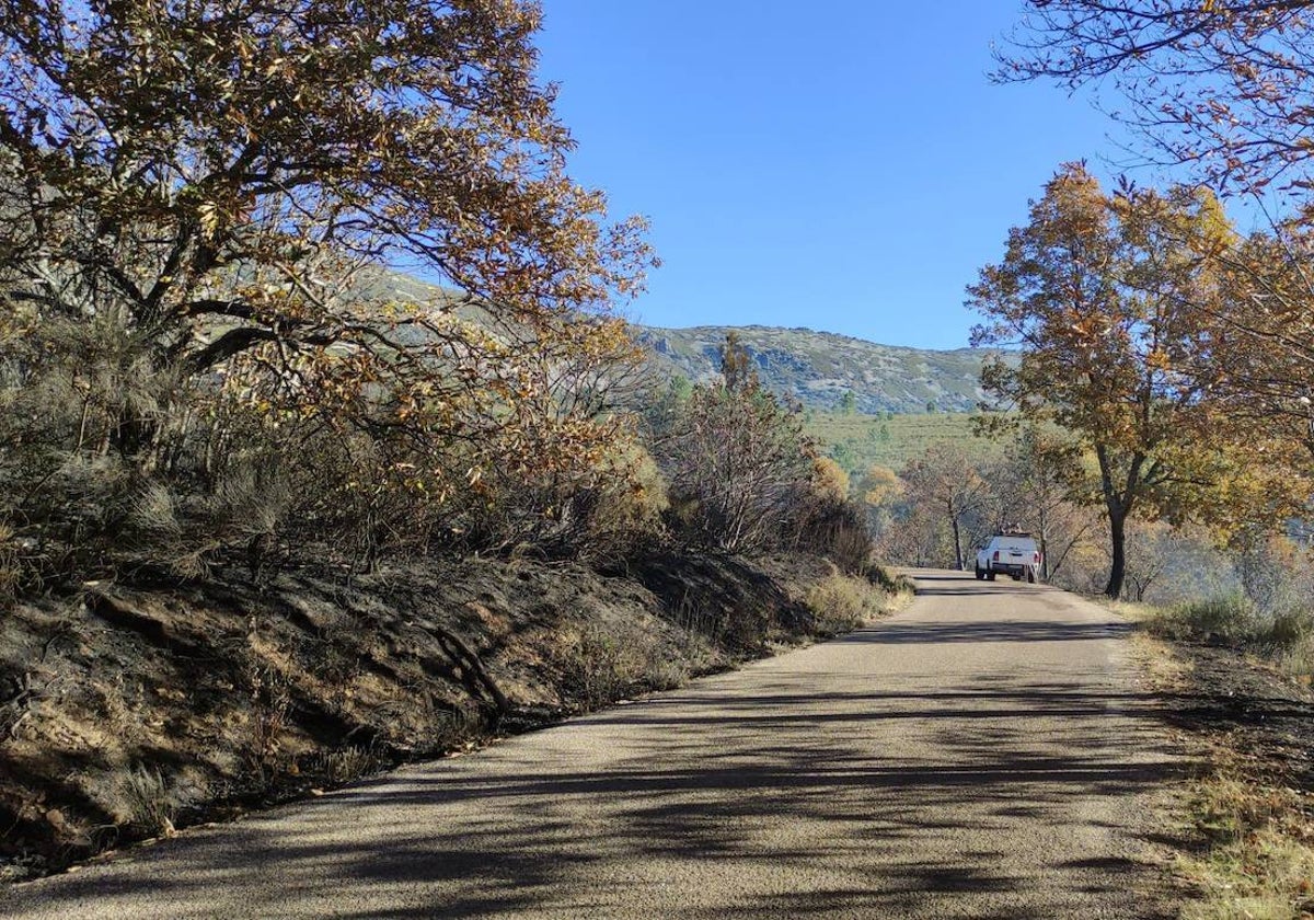 Carretera DSA-352, entre Monsagro con el Paso de los Lobos.