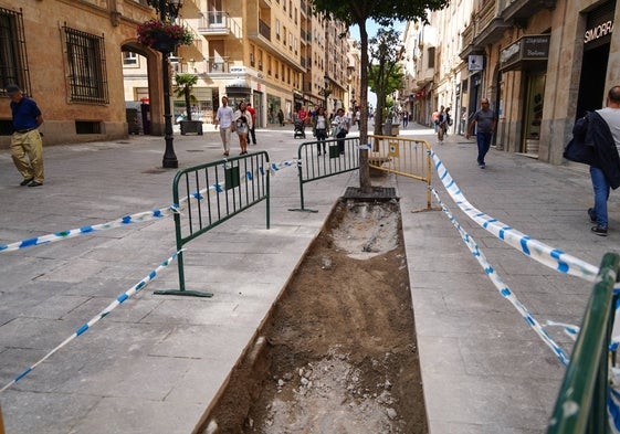 Primera zanja abierta para construir alcorques y elevar las zonas verdes en la calle Zamora.
