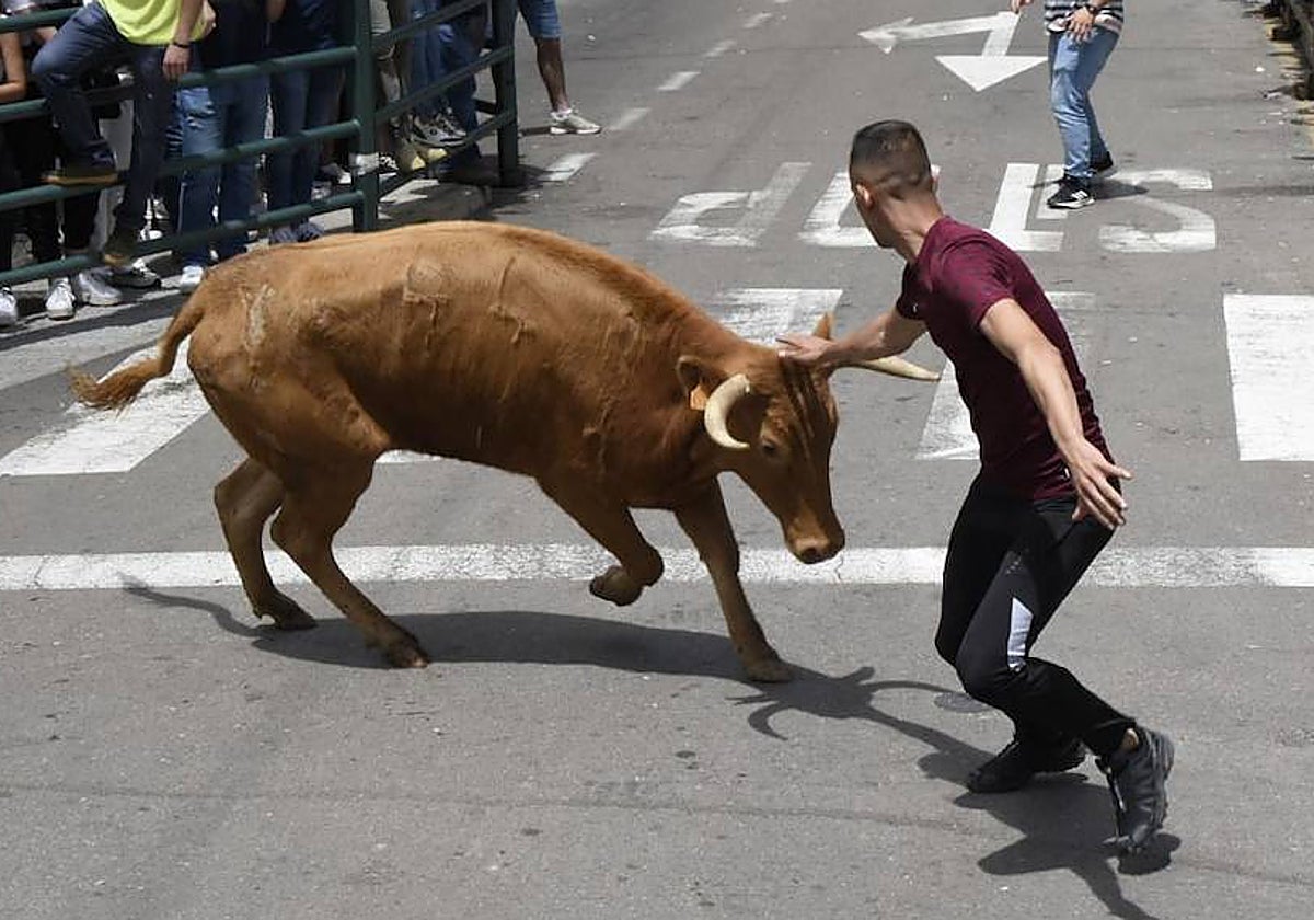 Vitigudino se llena para el segundo encierro de las fiestas del Corpus