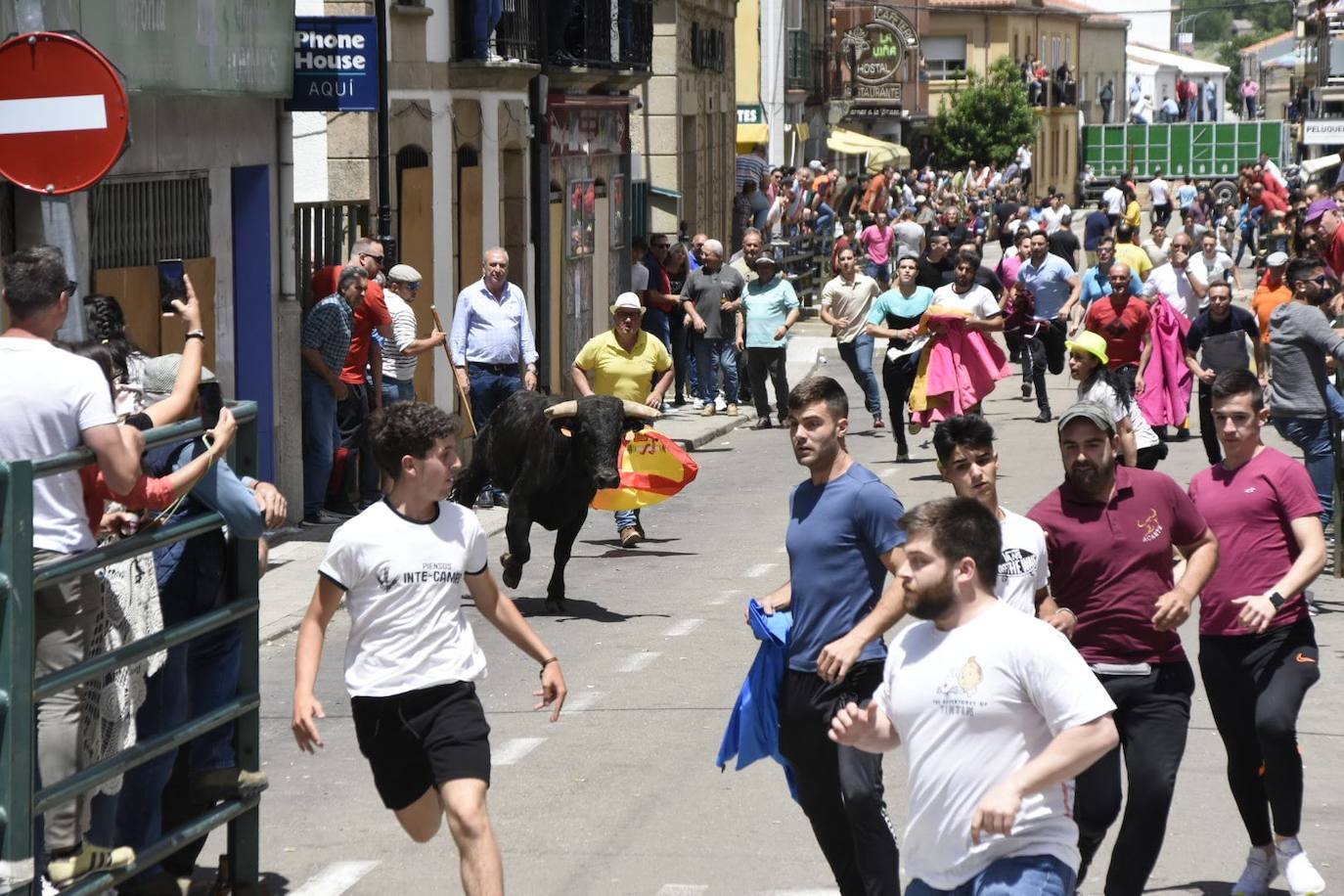 Vitigudino se llena para el segundo encierro de las fiestas del Corpus