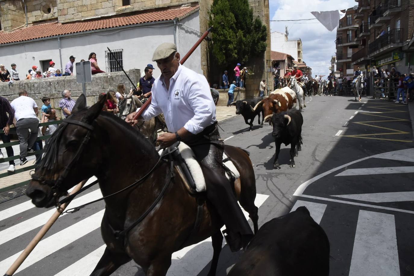 Encierros limpios y rápidos en Vitigudino