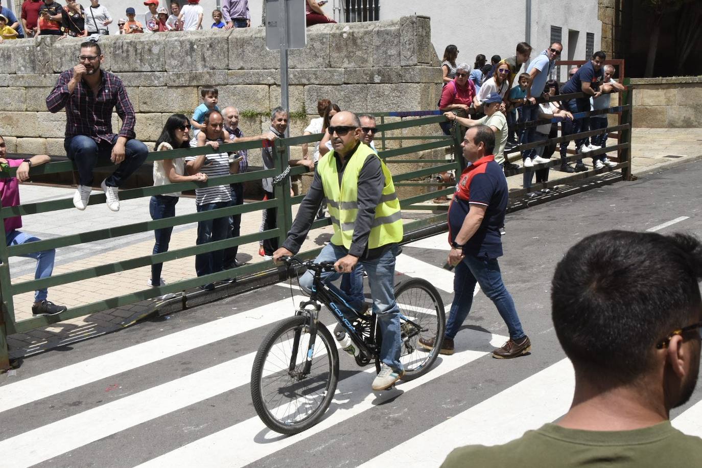 Encierros limpios y rápidos en Vitigudino