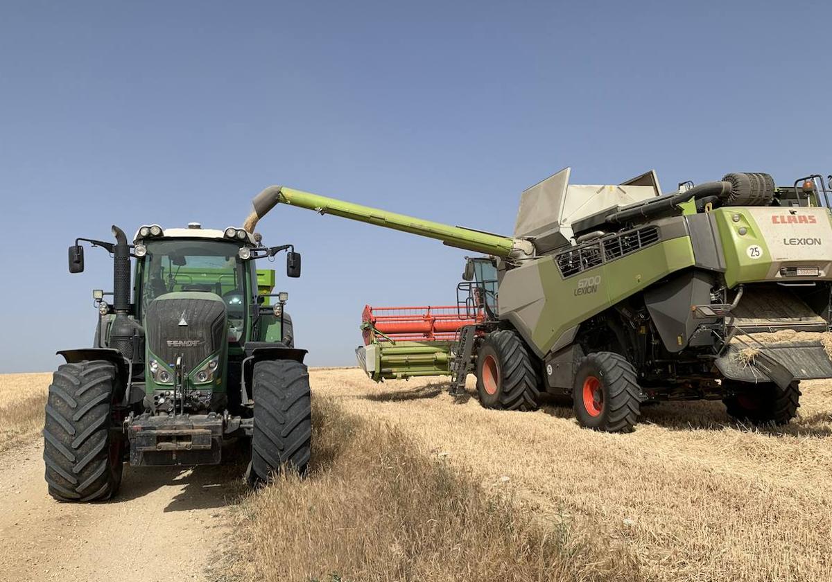 Un agricultor durante la cosecha de la pasada temporada en la provincia de Salamanca,