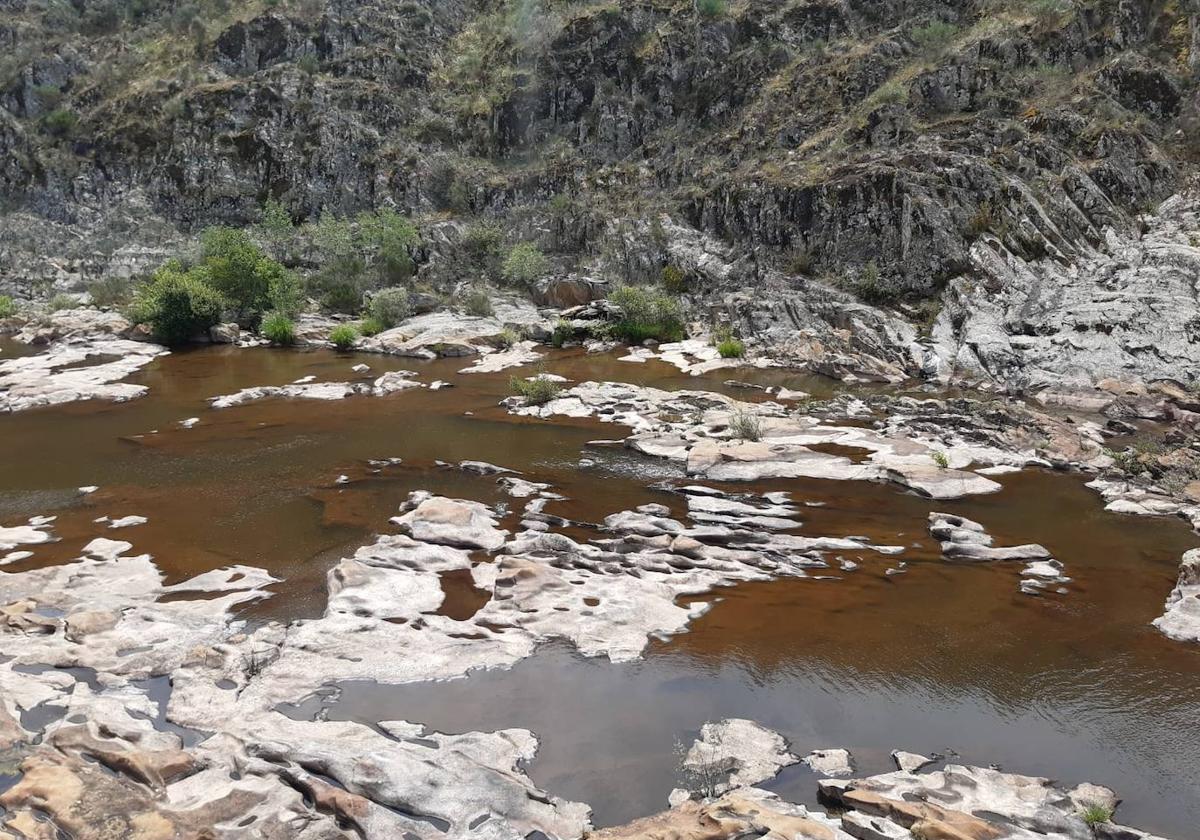 Bajo nivel de las aguas en un tramo pesquero de la cuenca del río Águeda.