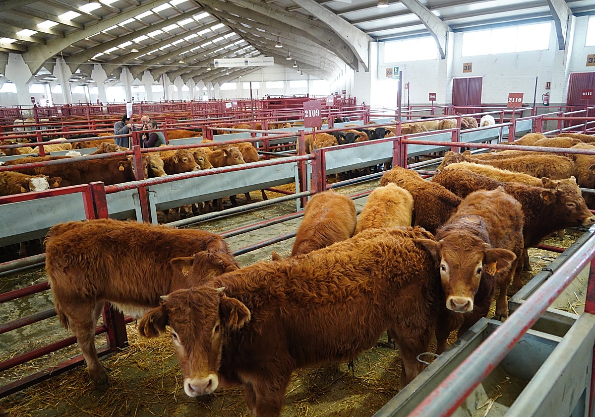 Una imagen del mercado.