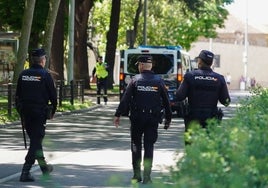 Agentes de la Policía Nacional, en una intervención de archivo