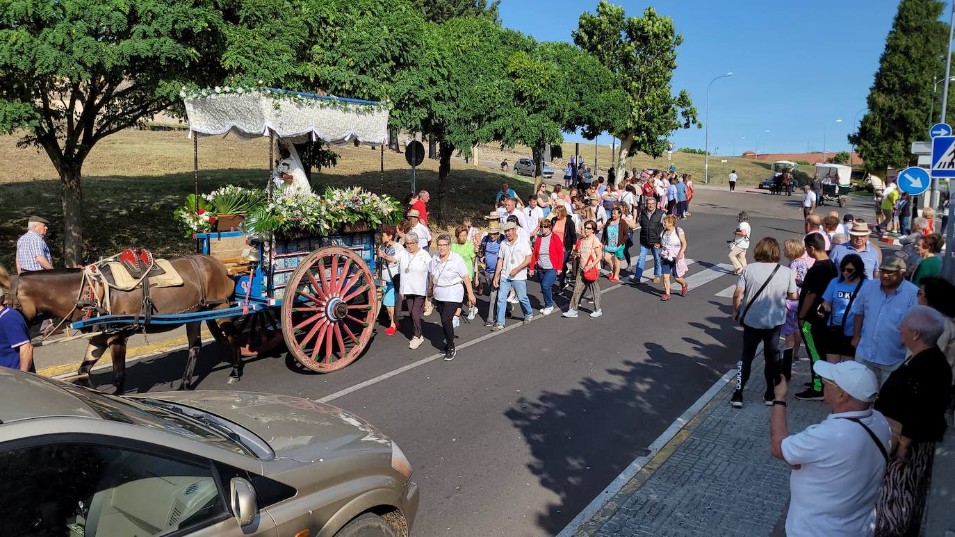 Arranca en Ciudad Rodrigo la Romería de la Hermandad de la Virgen de la Peña de Francia