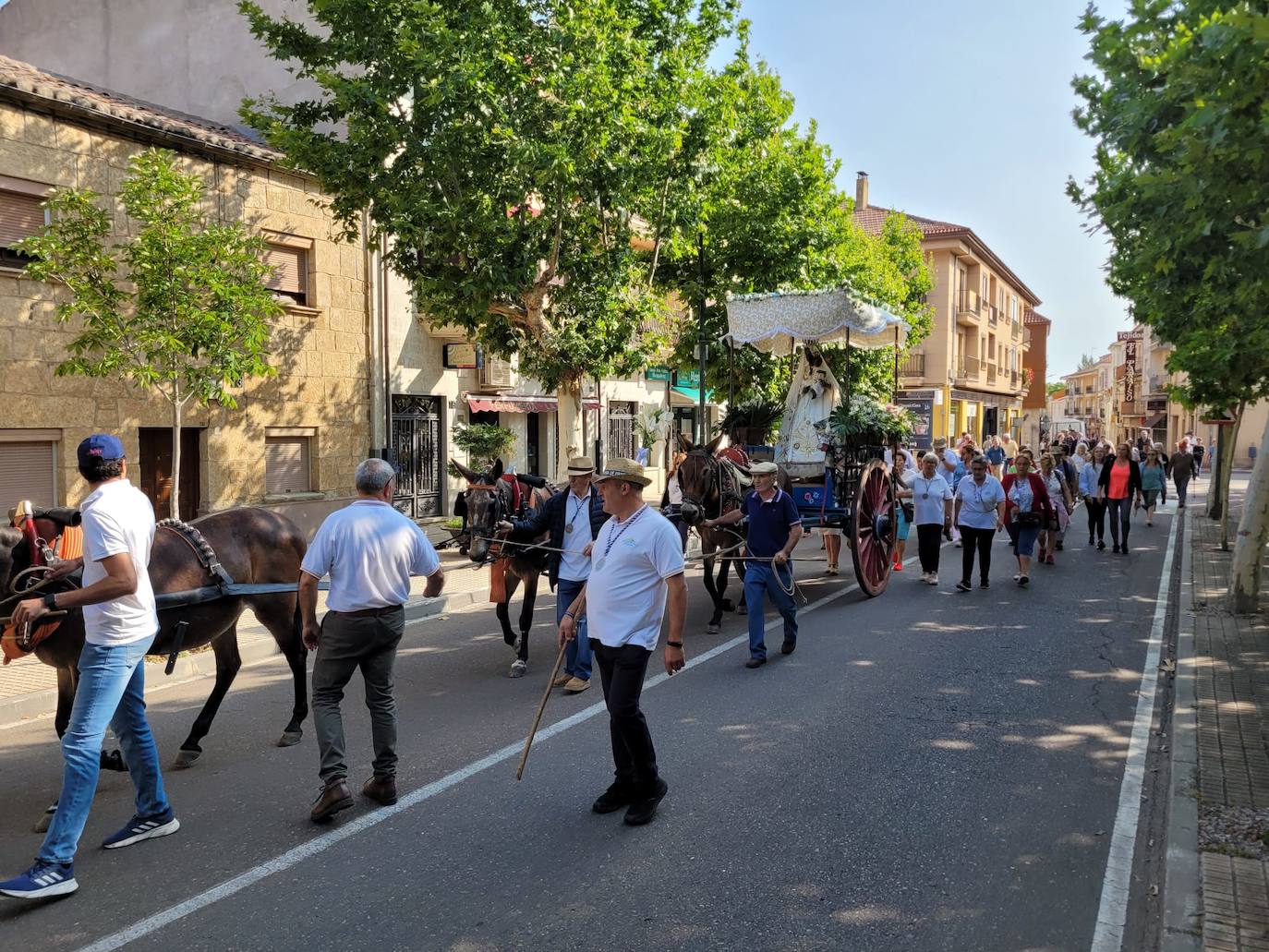 Arranca en Ciudad Rodrigo la Romería de la Hermandad de la Virgen de la Peña de Francia