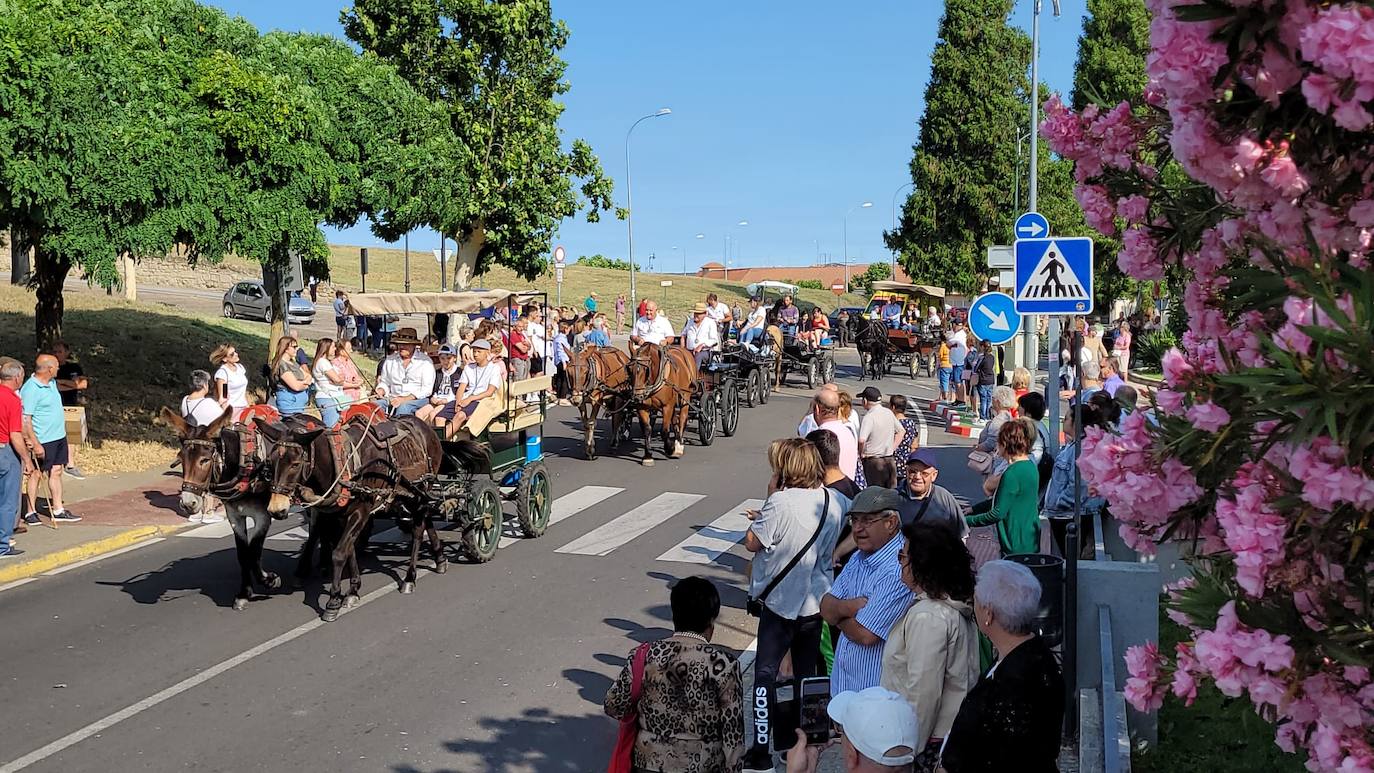 Arranca en Ciudad Rodrigo la Romería de la Hermandad de la Virgen de la Peña de Francia