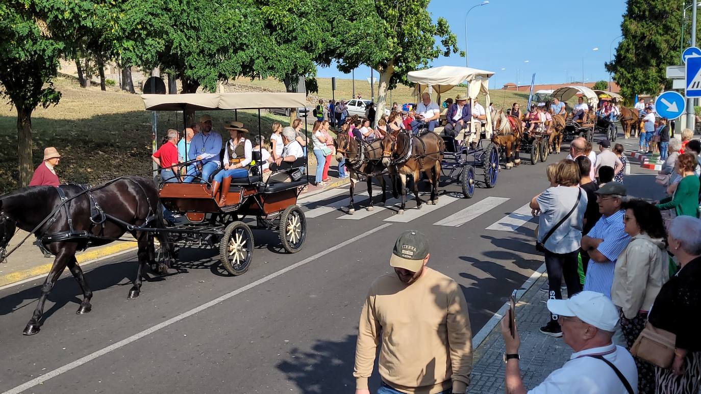 Arranca en Ciudad Rodrigo la Romería de la Hermandad de la Virgen de la Peña de Francia