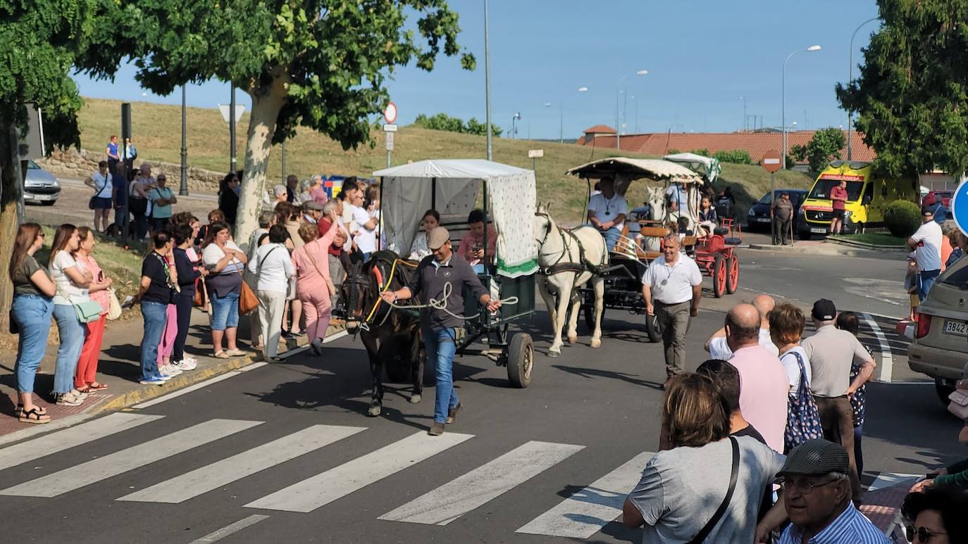 Arranca en Ciudad Rodrigo la Romería de la Hermandad de la Virgen de la Peña de Francia