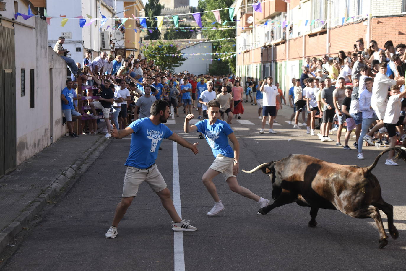 Carreras taurinas en el Barrio Nuevo