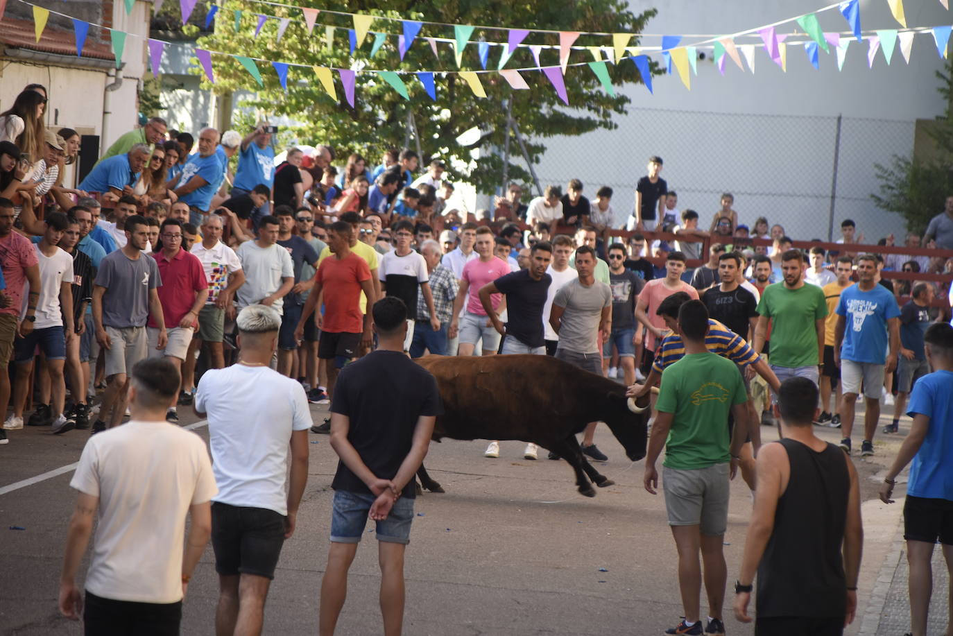 Carreras taurinas en el Barrio Nuevo