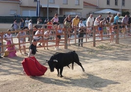 Villoruela soltará dos toros del cajón esta semana