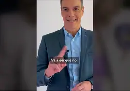 Captura de pantalla del TikTok del PSOE.