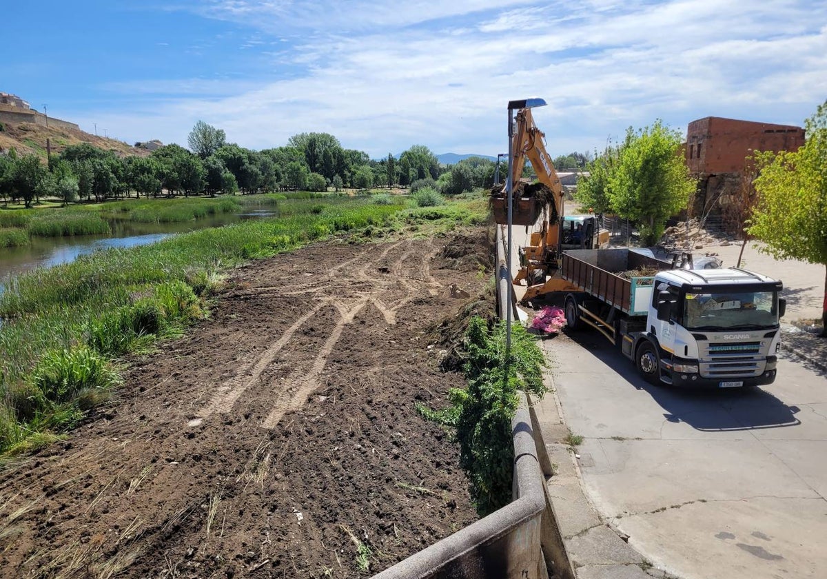 Maquinaria pesada en las labores de limpieza del muro del río Águeda en Ciudad Rodrigo