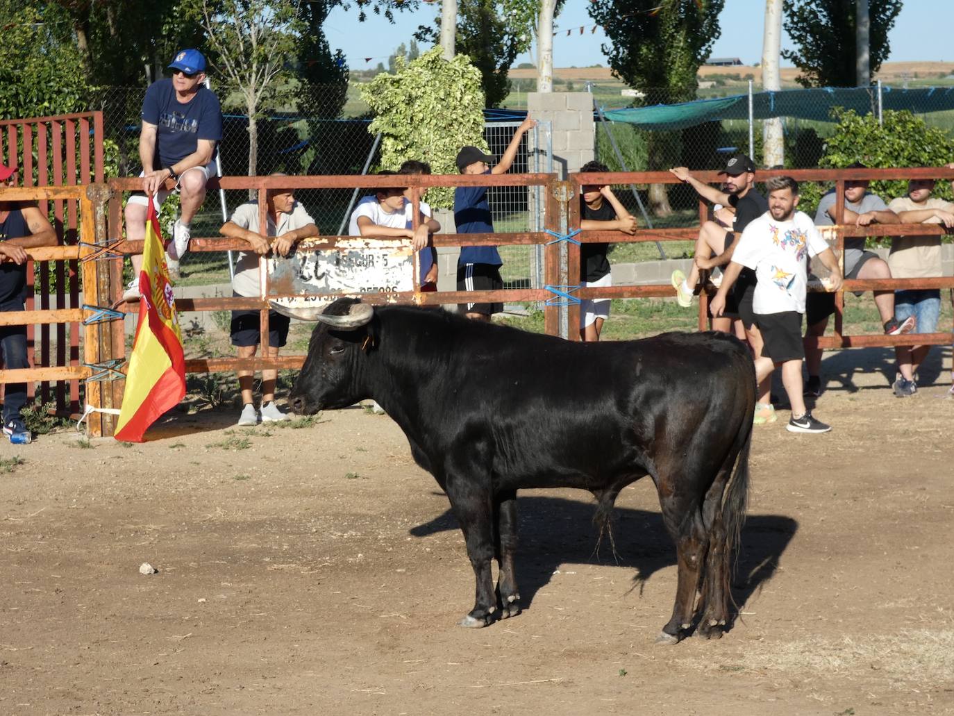 El toro del cajón centra la atención juvenil en Villoruela