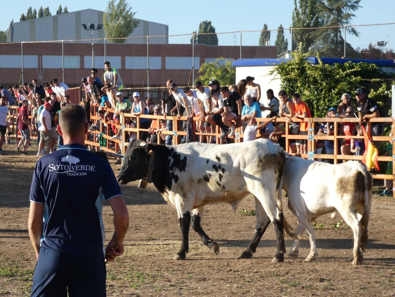 El toro del cajón centra la atención juvenil en Villoruela