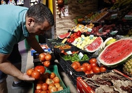 Tomates en una de las fruterías del Mercado.